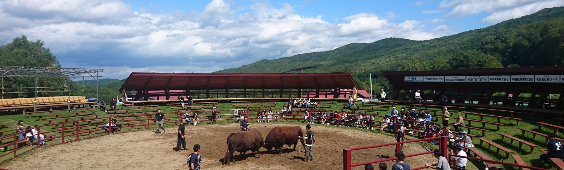 闘牛サポーター募集 闘牛サポーター募集